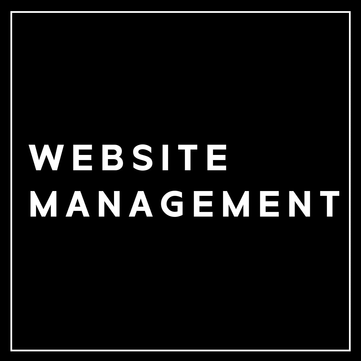 Website Management (Monthly)