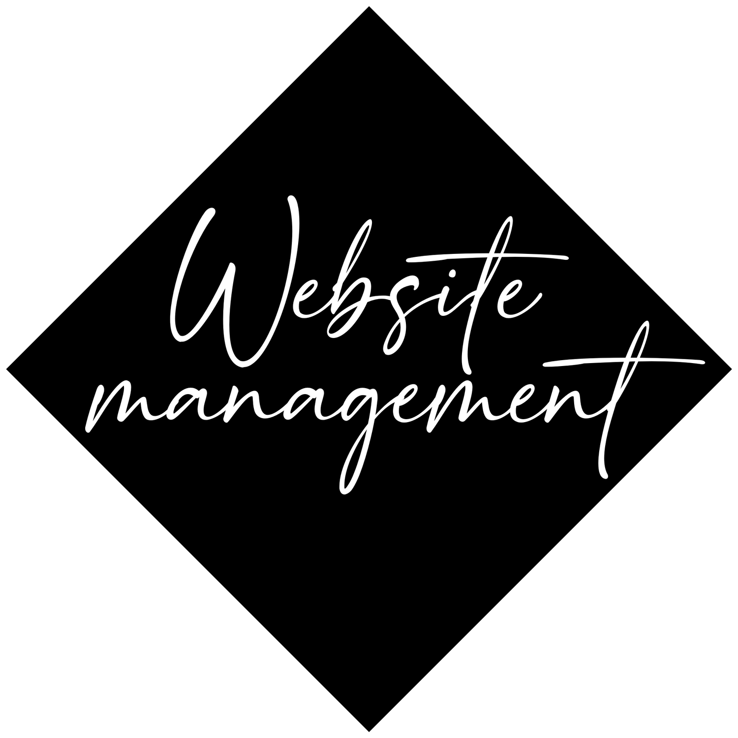 Website Management