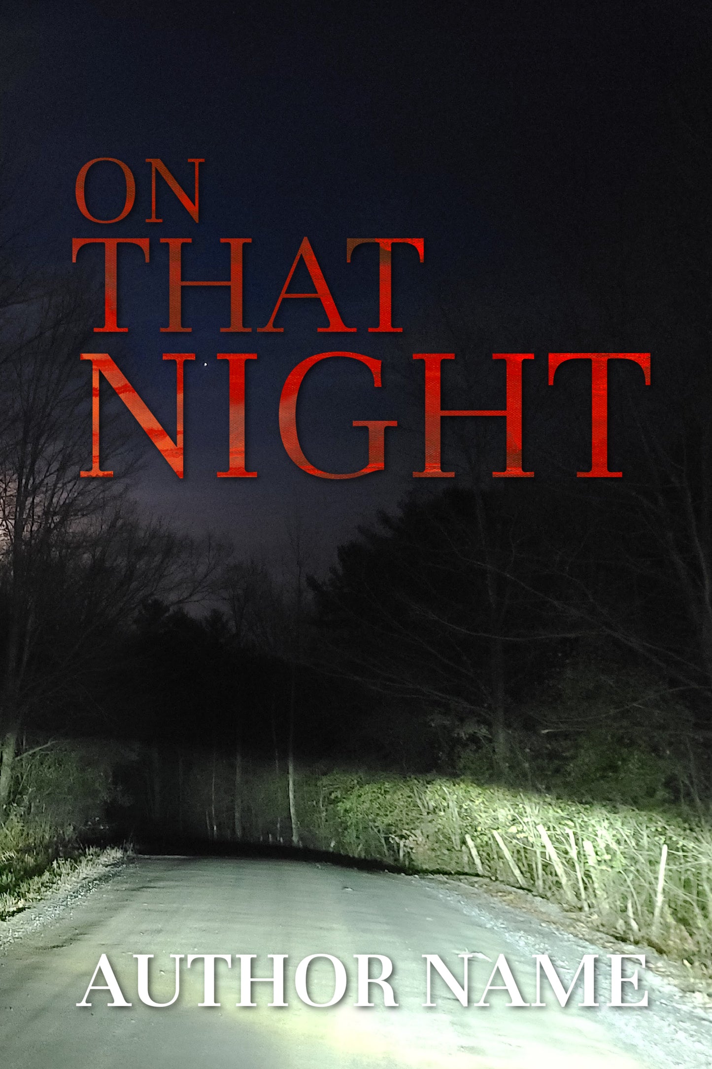 On That Night: Pre-Made Book Cover